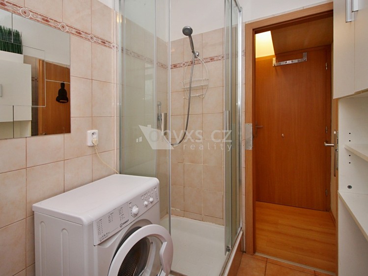 Pronájem bytu 1+kk 25 m² - foto 3