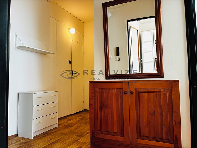 Pronájem bytu 2+1 50 m² (Jednopodlažní) - foto 8