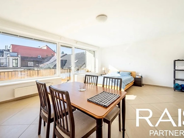 Prodej bytu 1+kk 55 m² (Jednopodlažní) - foto 4