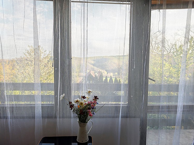 Prodej  chaty 40 m², pozemek 389 m² - foto 8