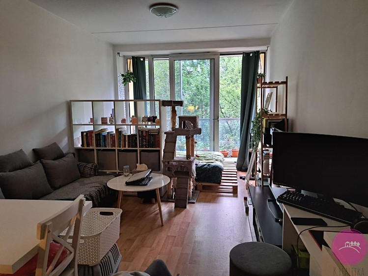 Pronájem bytu 1+kk 31 m² - foto 6