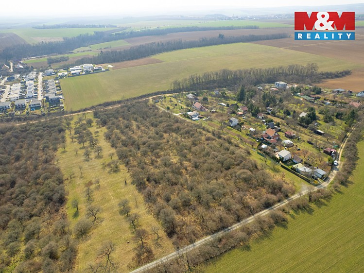 Prodej  sadu, vinice 19 004 m² - foto 4