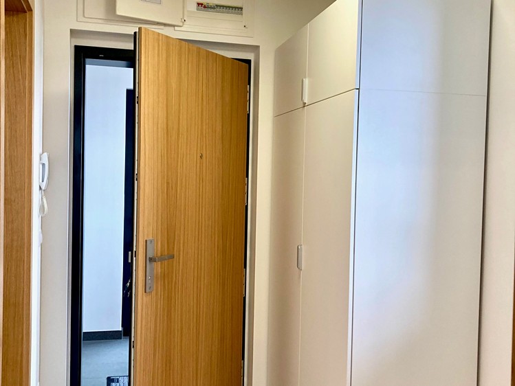 Pronájem bytu 1+kk 38 m² (Jednopodlažní) - foto 8
