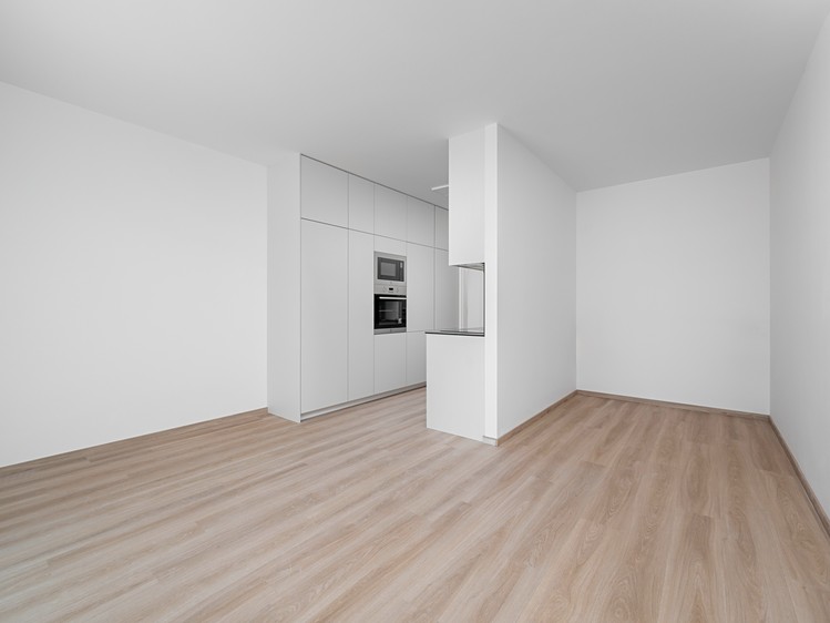 Pronájem bytu 1+kk 50 m² (Jednopodlažní) - foto 5