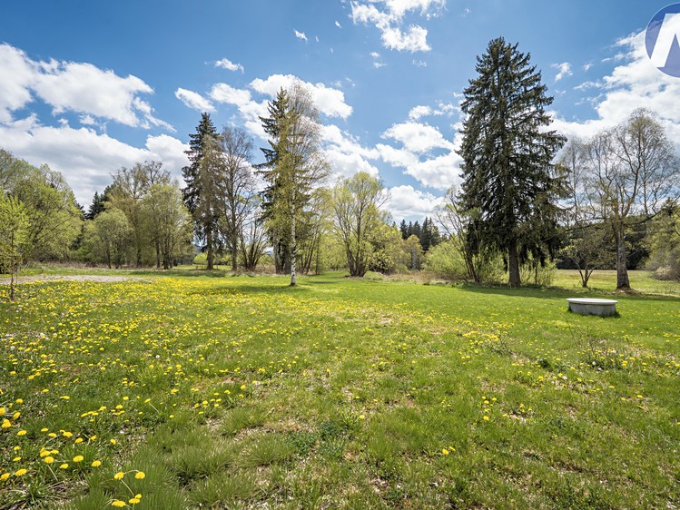 Prodej stavebního pozemku 2 500 m² - foto 3