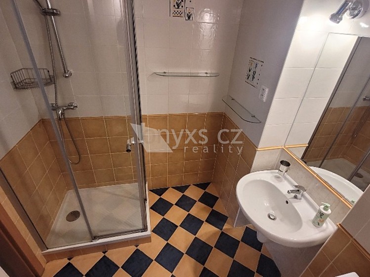 Pronájem bytu 2+1 58 m² - foto 5