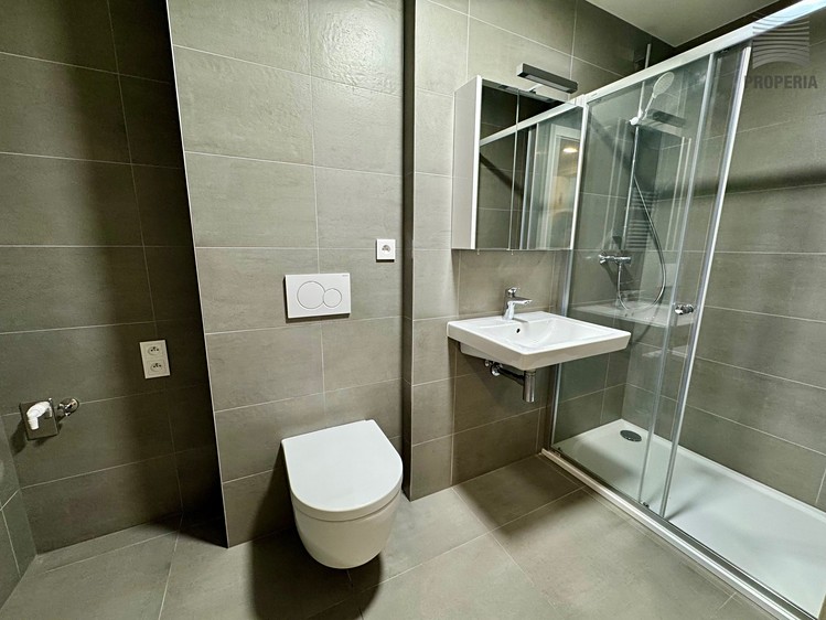 Pronájem bytu 1+kk 28 m² (Jednopodlažní) - foto 5