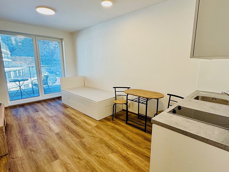 Pronájem bytu 1+kk 28 m² (Jednopodlažní) - foto 2