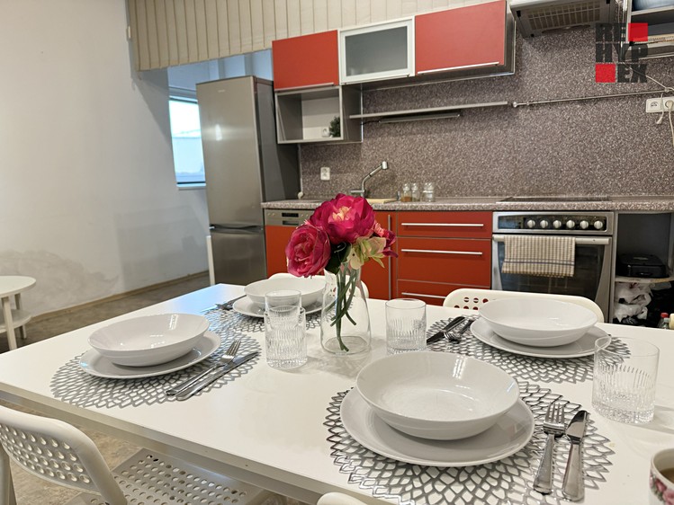 Prodej vícegeneračního domu 980 m², pozemek 523 m² - foto 5