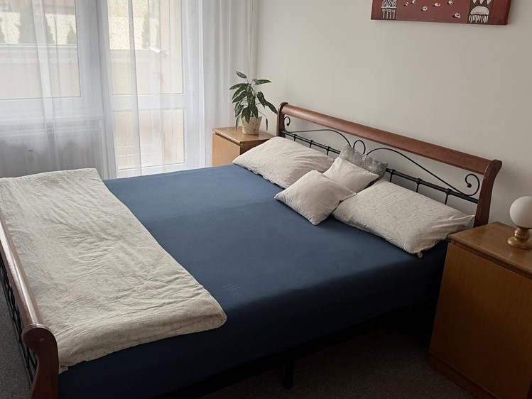 Prodej bytu 4+1 86 m² (Jednopodlažní) - foto 3