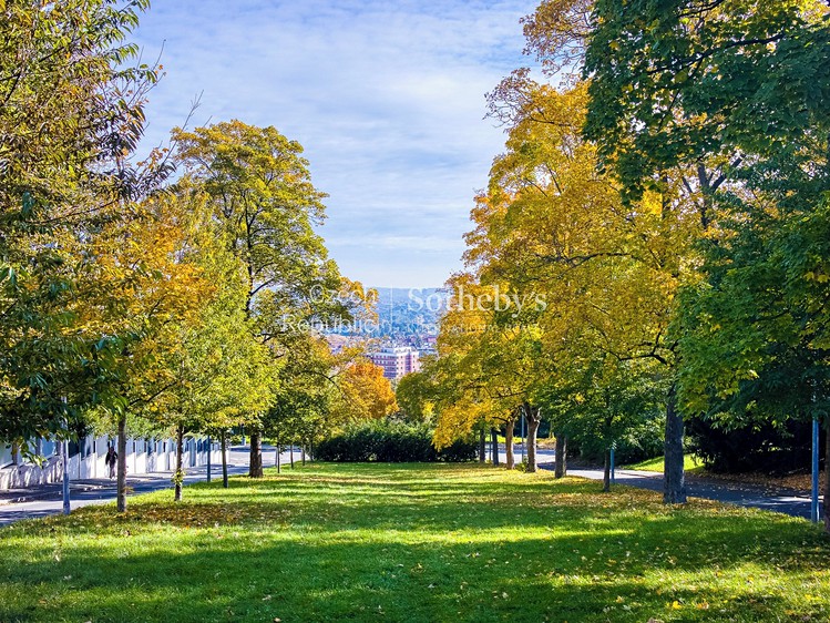 Prodej bytu 2+kk 56 m² (Jednopodlažní) - foto 3