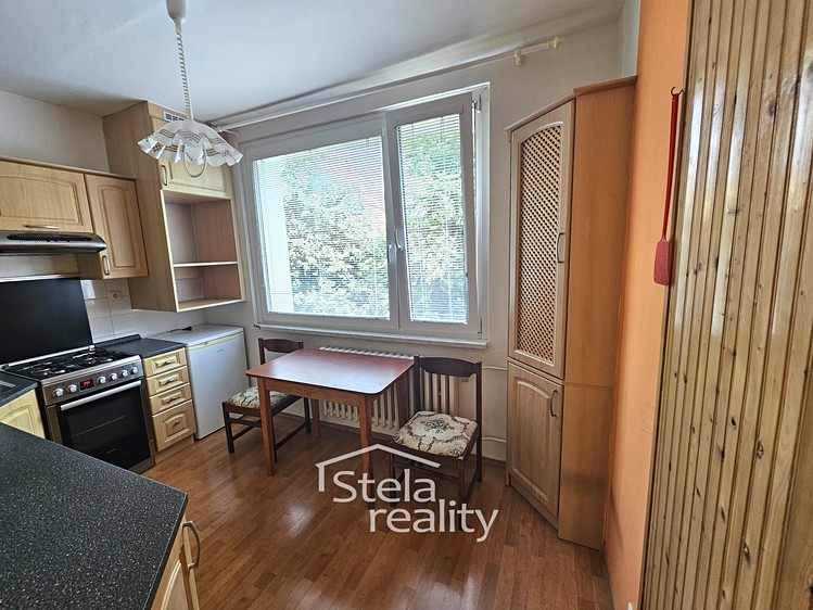 Pronájem bytu 1+1 39 m² - foto 3