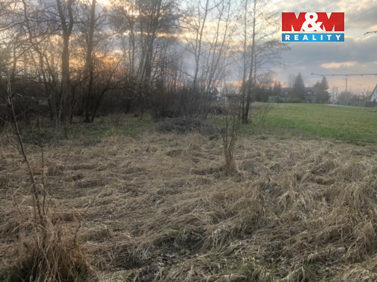 Prodej  louky 1 524 m² - foto 8