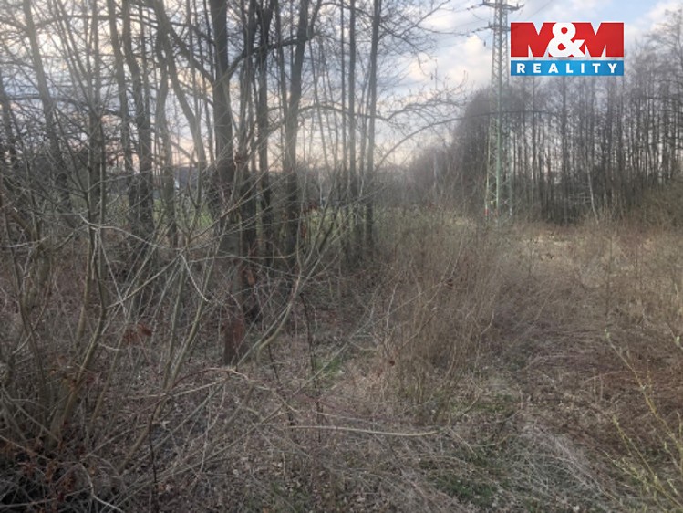 Prodej  louky 1 524 m² - foto 5