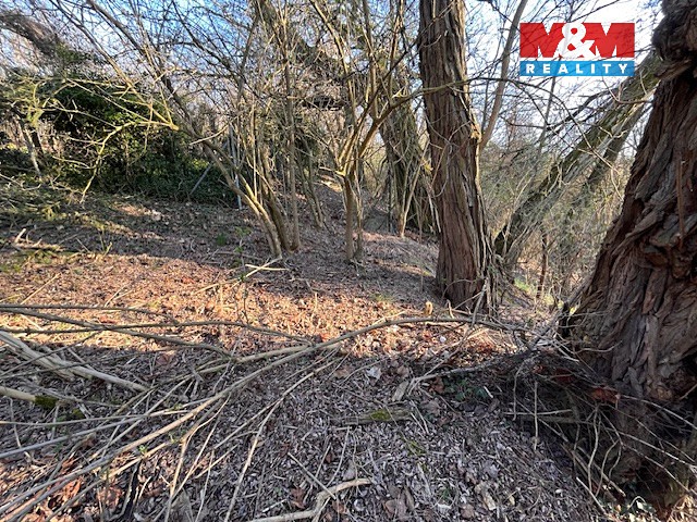 Prodej  stavebního pozemku 3 136 m² - foto 5