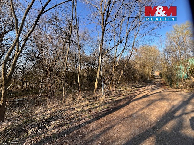 Prodej  stavebního pozemku 3 136 m² - foto 6