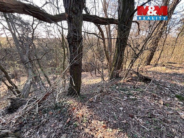 Prodej  stavebního pozemku 3 136 m² - foto 8