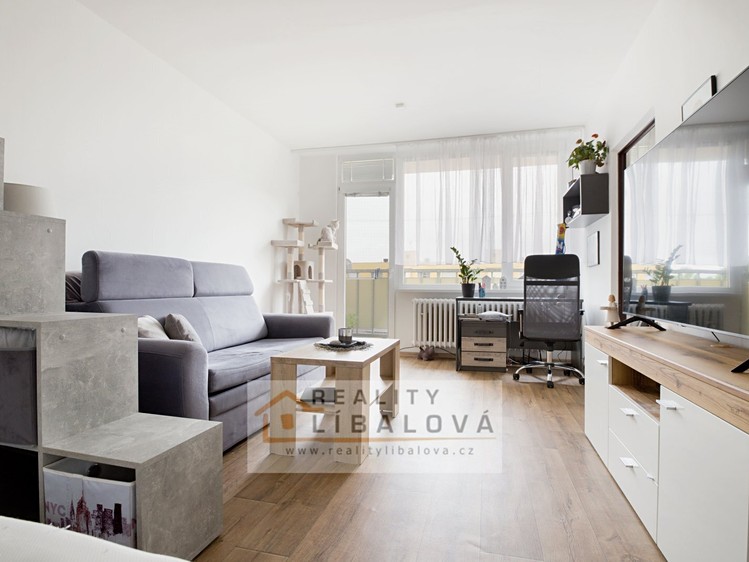 Pronájem bytu 1+1 45 m² - foto 4