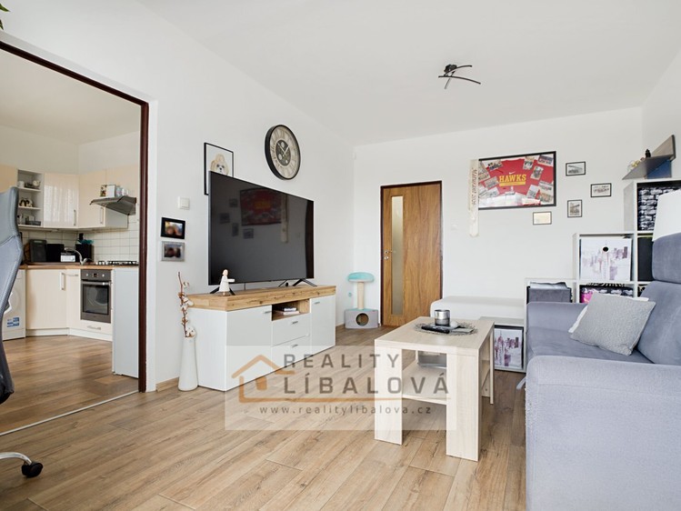 Pronájem bytu 1+1 45 m² - foto 5