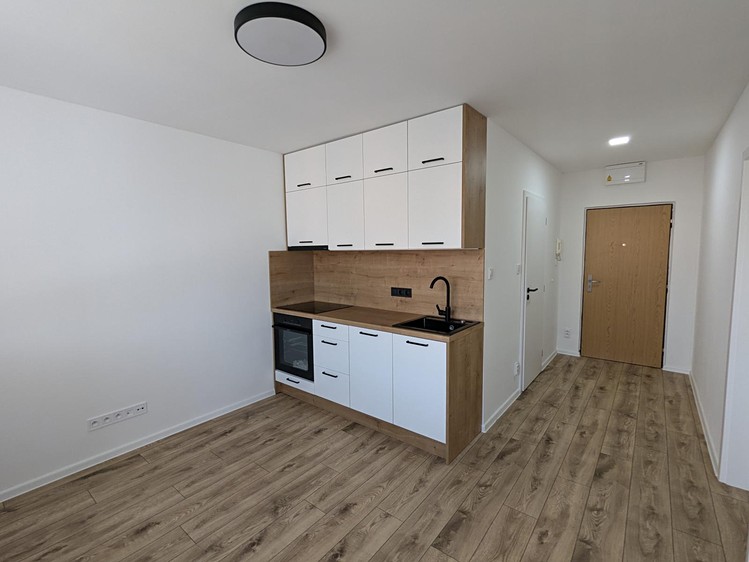Pronájem bytu 1+1 35 m² (Jednopodlažní) - foto 4
