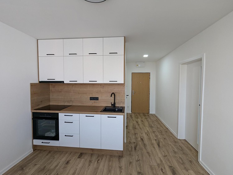 Pronájem bytu 1+1 35 m² (Jednopodlažní) - foto 1