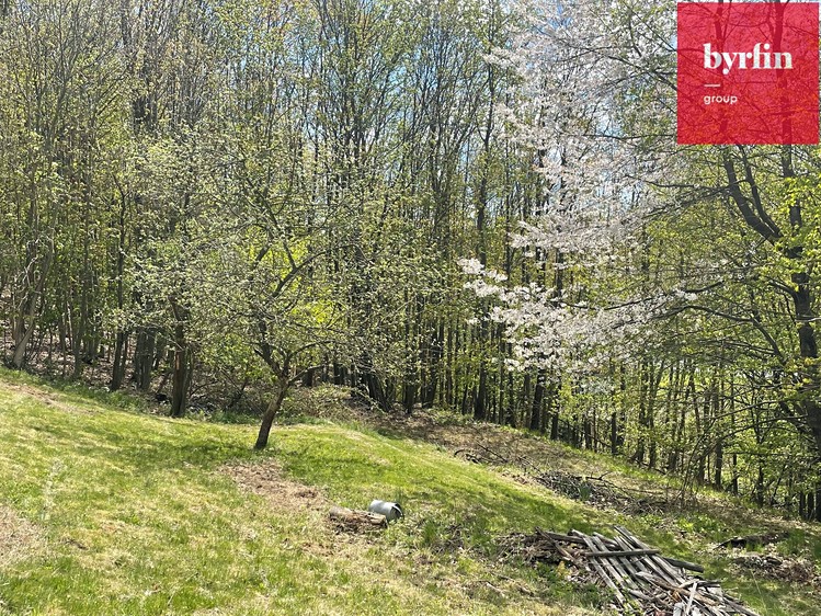 Prodej rodinného domu 250 m², pozemek 4 559 m² - foto 6