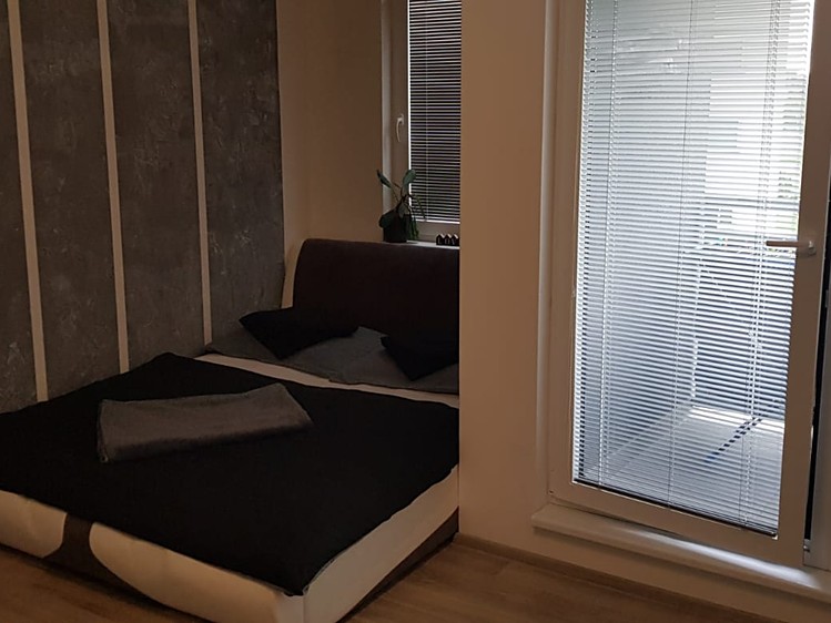 Pronájem bytu 1+kk 35 m² (Jednopodlažní) - foto 4