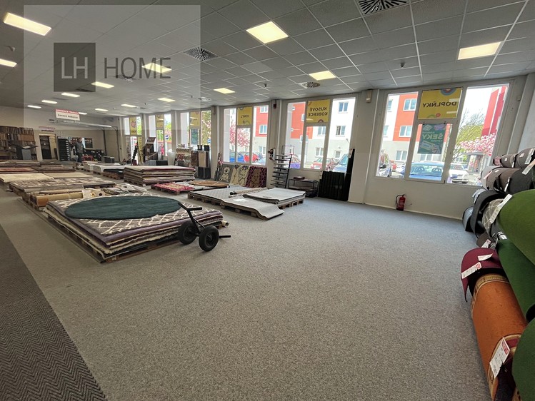 Pronájem obchodního prostoru 475 m² - foto 8