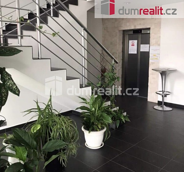 Pronájem pokoje 18 m² - foto 3