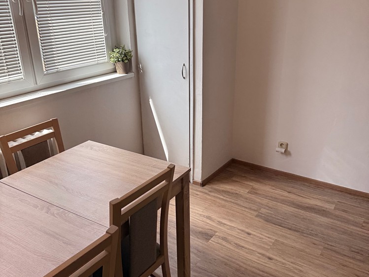 Pronájem bytu 1+1 45 m² (Jednopodlažní) - foto 3