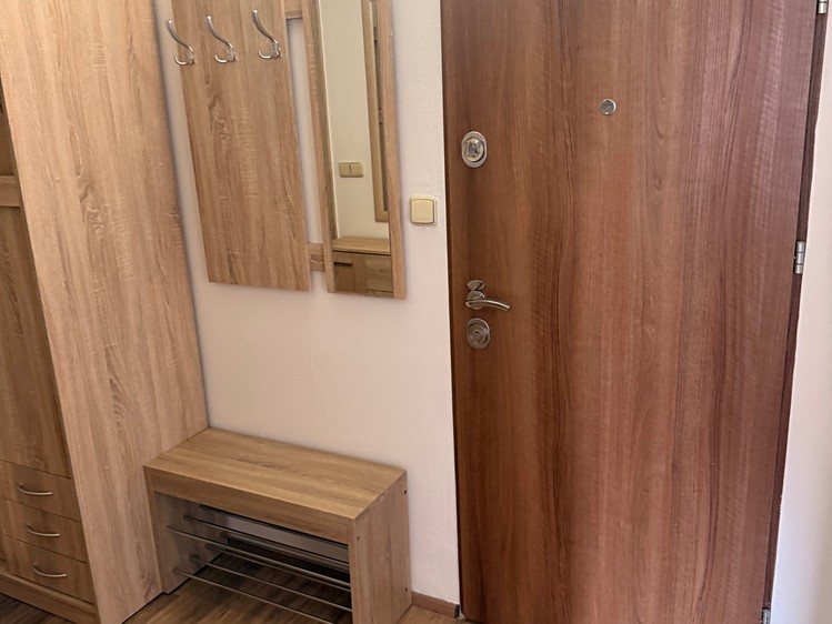 Pronájem bytu 1+1 45 m² (Jednopodlažní) - foto 6