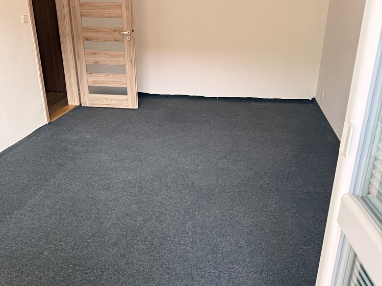 Pronájem bytu 1+1 45 m² (Jednopodlažní) - foto 7