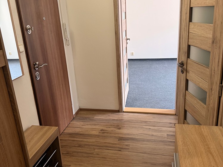 Pronájem bytu 1+1 45 m² (Jednopodlažní) - foto 5