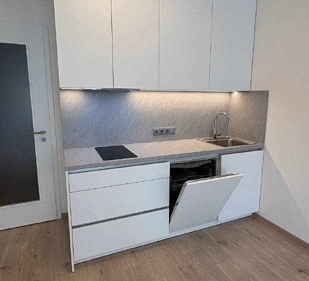 Pronájem bytu 1+kk 35 m² (Jednopodlažní) - foto 2