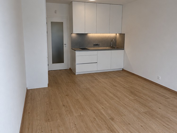 Pronájem bytu 1+kk 35 m² (Jednopodlažní) - foto 3