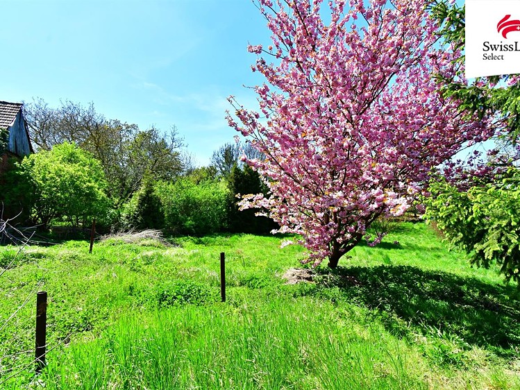 Prodej chalupy 110 m², pozemek 1 978 m² - foto 8