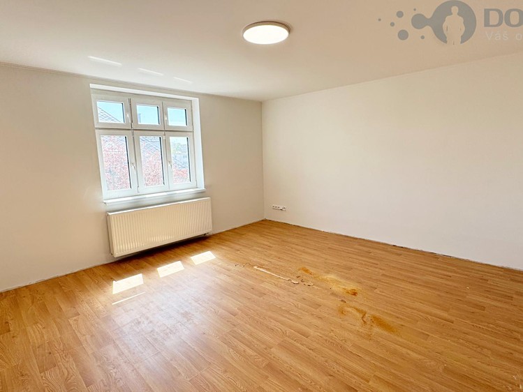 Pronájem bytu 1+1 45 m² - foto 3