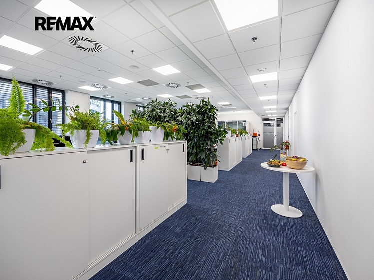 Pronájem kanceláře 319 m² - foto 8