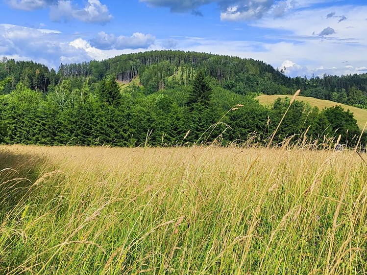 Prodej  stavebního pozemku 1 437 m² - foto 6