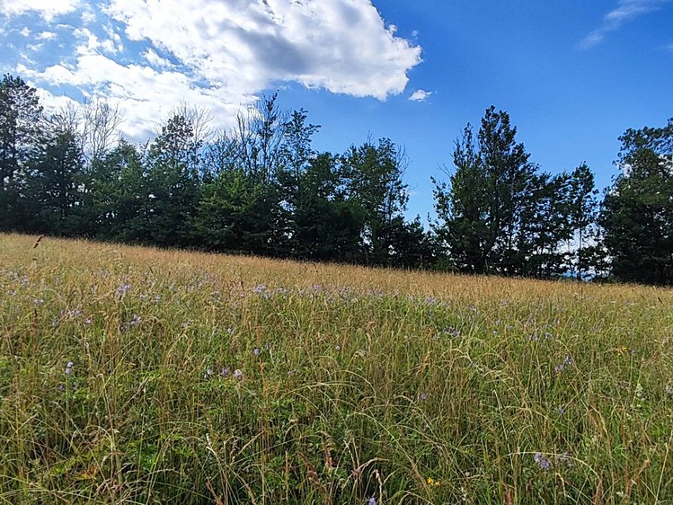 Prodej  stavebního pozemku 1 437 m² - foto 3