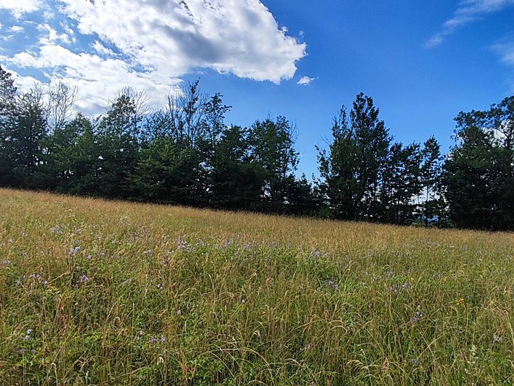 Prodej  stavebního pozemku 1 437 m² - foto 5