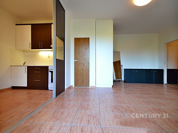 Pronájem bytu 1+kk 35 m² - foto 4