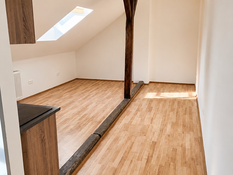 Pronájem bytu 1+kk 30 m² (Podkrovní) - foto 4