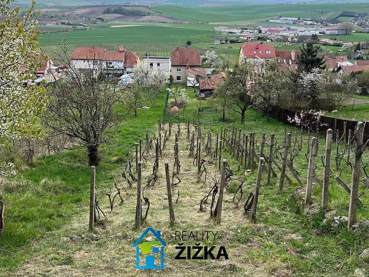 Prodej zahrady 942 m² - foto 2