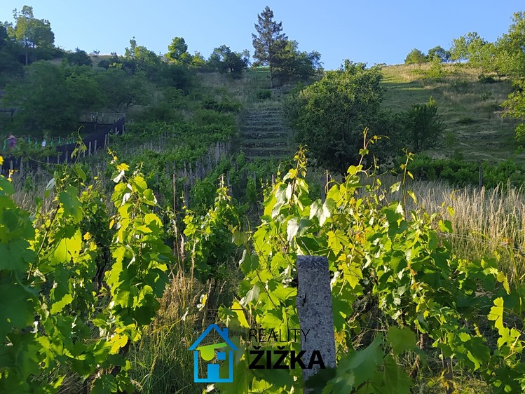 Prodej zahrady 942 m² - foto 4