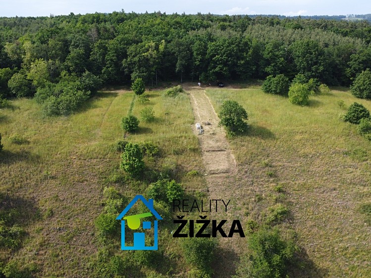Prodej zahrady 942 m² - foto 5