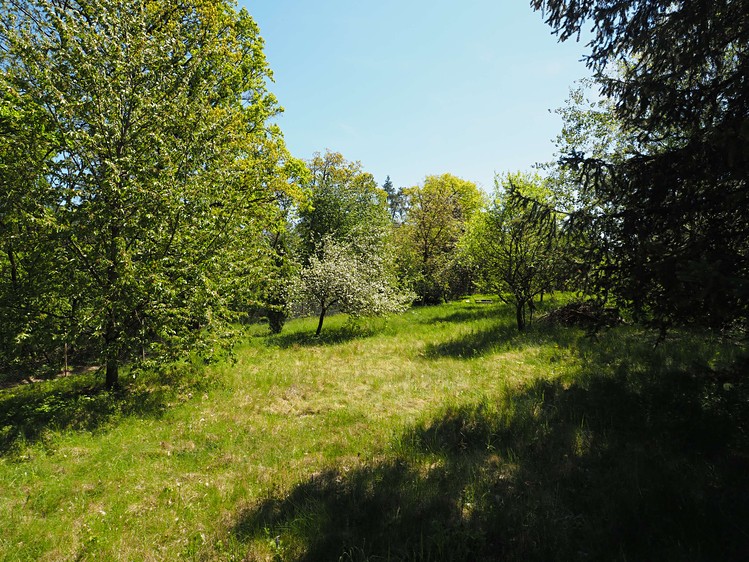 Prodej chaty 27 m², pozemek 908 m² - foto 7