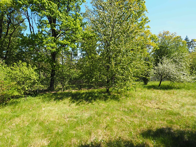 Prodej chaty 27 m², pozemek 908 m² - foto 8