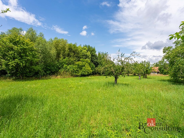 Prodej stavebního pozemku 3 106 m² - foto 4