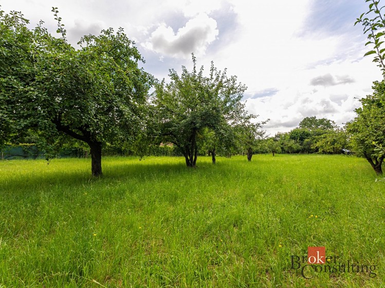 Prodej stavebního pozemku 3 106 m² - foto 5